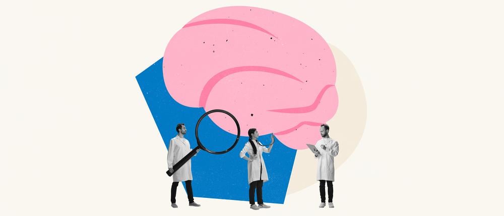 Mediziner begutachten ein Gehirn (Illustration). Das Geschlecht prägt auch psychische Erkrankungen.