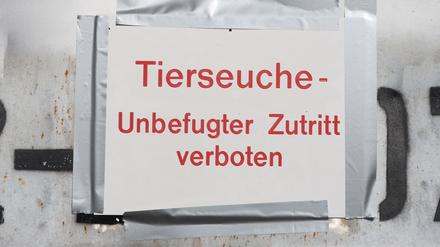 „Tierseuche - Unbefugter Zutritt verboten“ steht auf einem Hinweisschild am Stausee Kelbra.