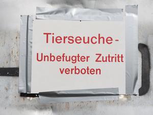 „Tierseuche - Unbefugter Zutritt verboten“ steht auf einem Hinweisschild am Stausee Kelbra.