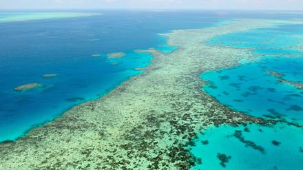 Das Great Barrier Reef in Australien. (Archivbild)