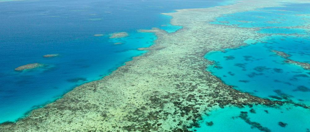 Das Great Barrier Reef in Australien. (Archivbild)