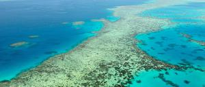 Das Great Barrier Reef in Australien. (Archivbild)