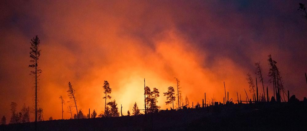 Waldbrände fachen mit ihren Emissionen die Erderwärmung zusätzlich an. (Illustraiton)