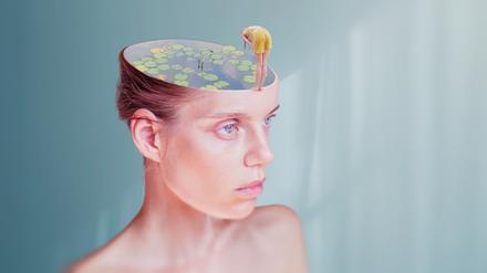 Wie schafft man es, das Gehirn nicht als Gegner zu sehen, sondern als Verbündete?