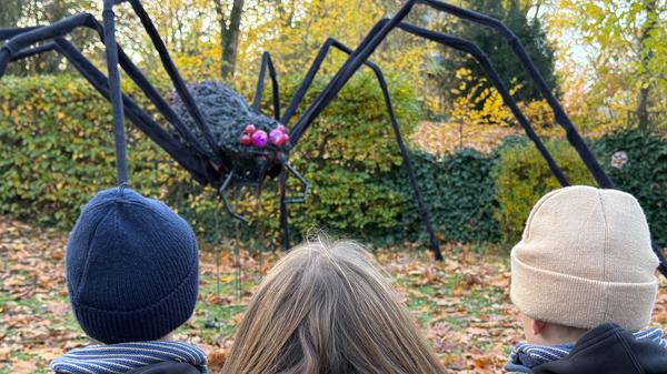 Im Lützelsteiner Weg in Berlin-Dahlem stehen die Zeichen auf Halloween: Spinnen im Vorgarten, Zombies unterm Rasen. Die ehemalige amerikanische Offizierssiedlung ist und bleibt ein Halloween-Hotspot in Berlin.