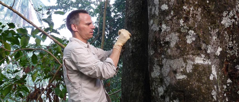 Fabian Leendertz in Guinea