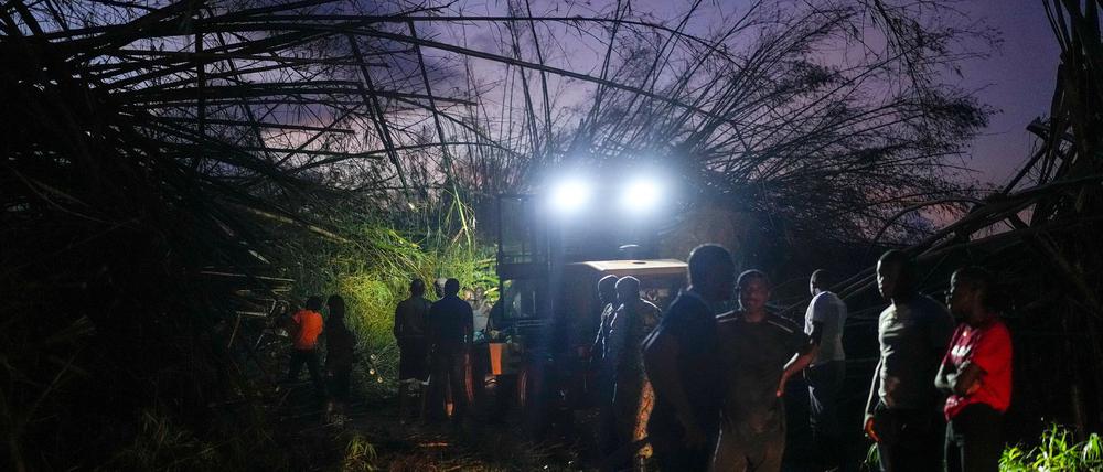 Arbeiter räumen umgestürzte Bäume und Trümmer beiseite.