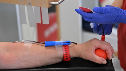 Blutspende beim DRK-Blutspendeinstitut in Potsdam (Symbolfoto).