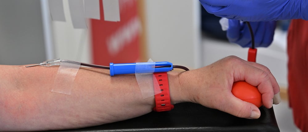 Blutspende beim DRK-Blutspendeinstitut in Potsdam (Symbolfoto).