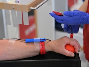 Blutspende beim DRK-Blutspendeinstitut in Potsdam (Symbolfoto).