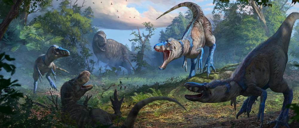 Nanotyrannus war wohl ein schlankerer, schnellerer und wendigerer Jäger als der T-Rex.