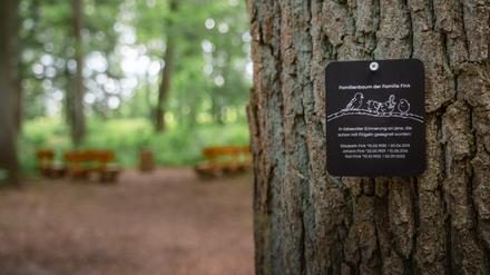 Baum statt Grabstein: Immer mehr Menschen entscheiden sich für die letzte Ruhestelle im FriedWald. // Weiterer Text über ots und www.presseportal.de/nr/55775 / Die Verwendung dieses Bildes für redaktionelle Zwecke ist unter Beachtung aller mitgeteilten Nutzungsbedingungen zulässig und dann auch honorarfrei. Veröffentlichung ausschließlich mit Bildrechte-Hinweis.