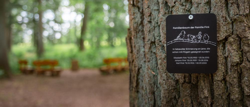 Baum statt Grabstein: Immer mehr Menschen entscheiden sich für die letzte Ruhestelle im FriedWald. // Weiterer Text über ots und www.presseportal.de/nr/55775 / Die Verwendung dieses Bildes für redaktionelle Zwecke ist unter Beachtung aller mitgeteilten Nutzungsbedingungen zulässig und dann auch honorarfrei. Veröffentlichung ausschließlich mit Bildrechte-Hinweis.