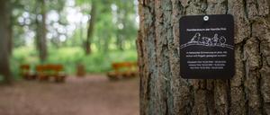 Baum statt Grabstein: Immer mehr Menschen entscheiden sich für die letzte Ruhestelle im FriedWald. // Weiterer Text über ots und www.presseportal.de/nr/55775 / Die Verwendung dieses Bildes für redaktionelle Zwecke ist unter Beachtung aller mitgeteilten Nutzungsbedingungen zulässig und dann auch honorarfrei. Veröffentlichung ausschließlich mit Bildrechte-Hinweis.