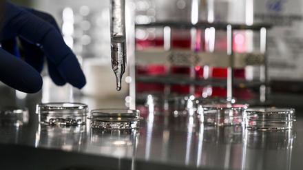 Die Berlin Science Week läuft vom 1. bis zum 10. November. (Symbolbild)