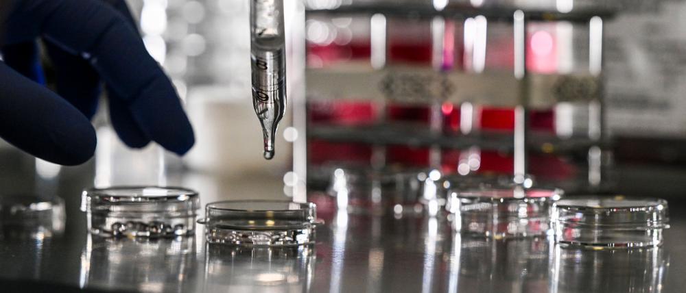 Die Berlin Science Week läuft vom 1. bis zum 10. November. (Symbolbild)