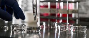 Die Berlin Science Week läuft vom 1. bis zum 10. November. (Symbolbild)