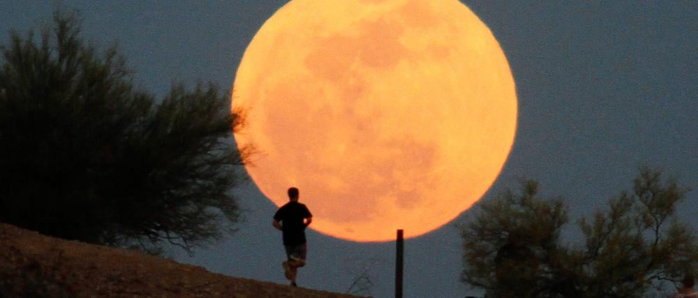 In den nächsten Tagen weist der Vollmond die geringste Distanz zur Erde in diesem Jahr auf.