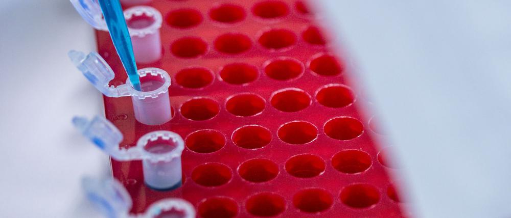 Die Berlin Science Week läuft bis zum 10. November. (Symbolbild)