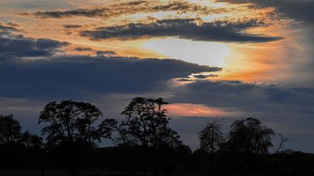 Auch am Samstag zeigt sich zunächst die Sonne über Berlin und Brandenburg. (Symbolbild)