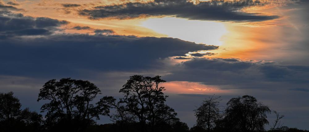 Auch am Samstag zeigt sich zunächst die Sonne über Berlin und Brandenburg. (Symbolbild)
