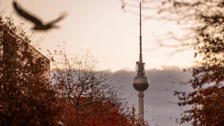 Ein grauer, milder Herbstsonntag in Berlin und Brandenburg – die neue Woche startet ruhig und meist trocken. (Archivbild)