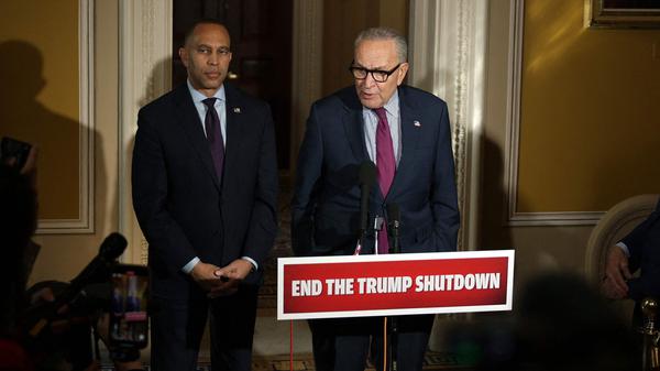 Top-Demokraten Hakeem Jeffries (l.) und Chuck Schumer.