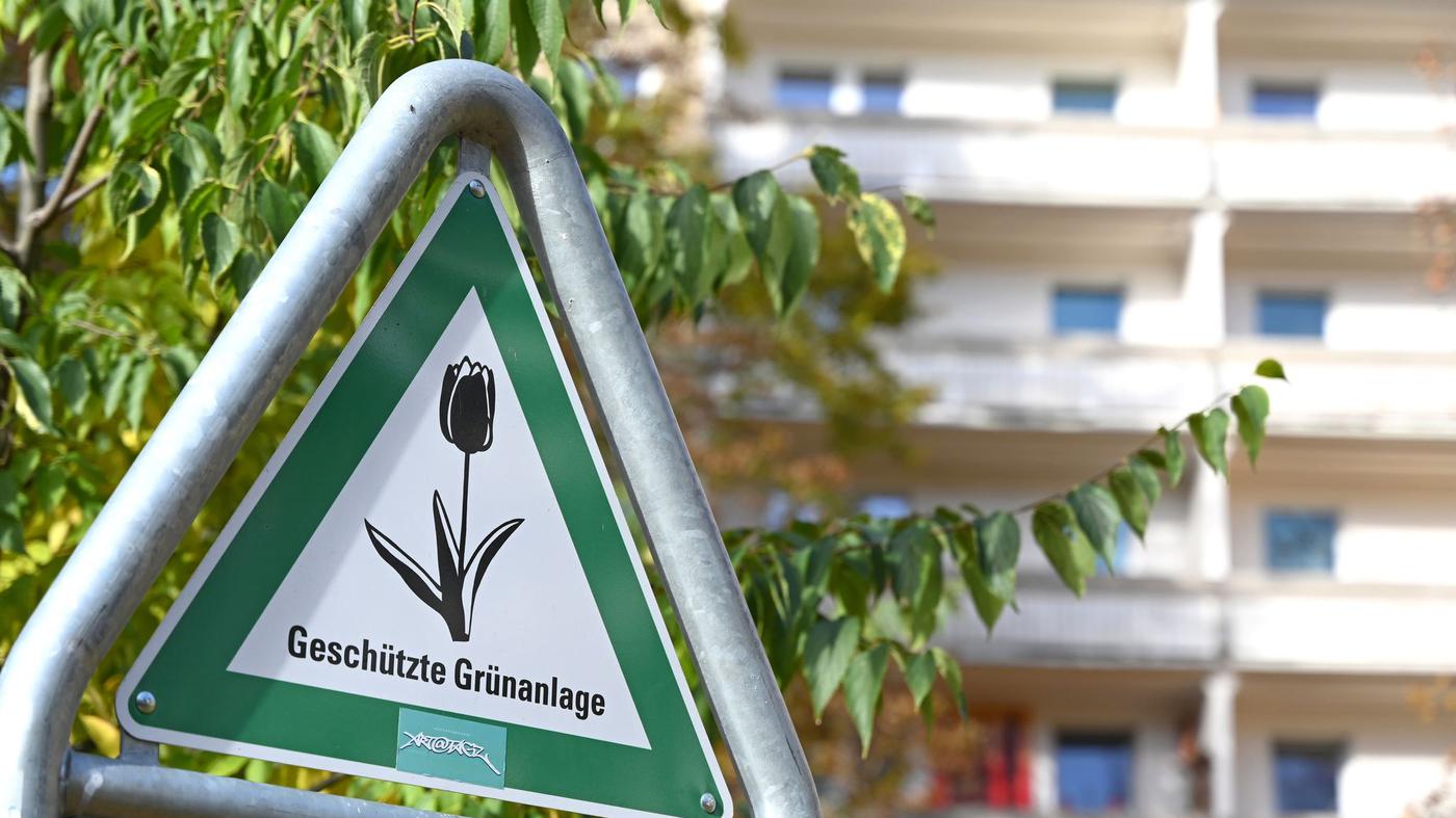 Klimapolitik-Berliner-Abgeordnetenhaus-beschlie-t-Baumgesetz