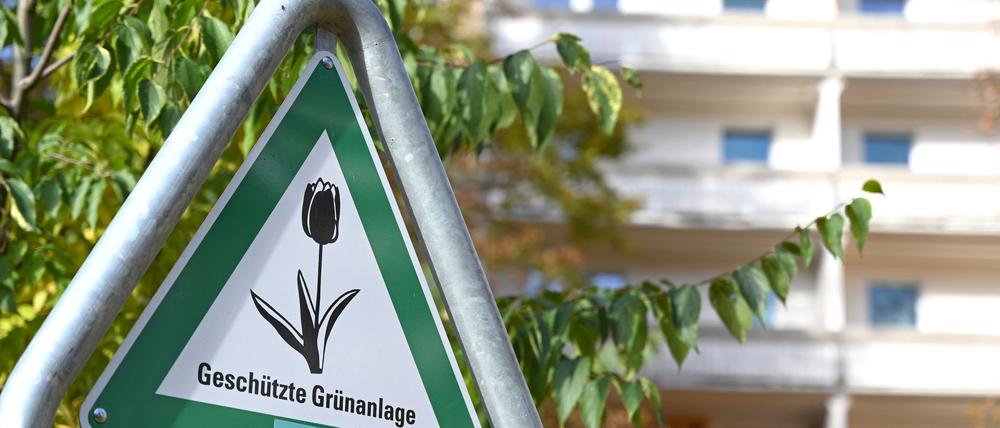 Laut dem neuen Klimaanpassungsgesetz soll es in Berlin mehr Bäume und mehr „Kühlinseln“ in Form von Grünanlagen geben. 