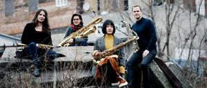 Das Quartett „Adumá“ ist im Potsdamer Landtag zu erleben.