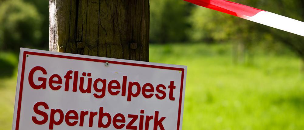 Ein Warnschild zur Geflügelpest hängt bei einer Tierseuchenübung. 