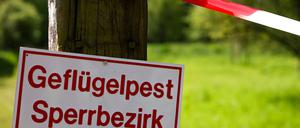 Ein Warnschild zur Geflügelpest hängt bei einer Tierseuchenübung. 