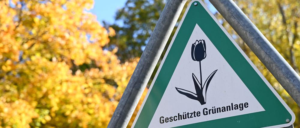 Laut dem neuen Klimaanpassungsgesetz soll es in Berlin mehr „Kühlinseln“ in Form von Grünanlagen geben.