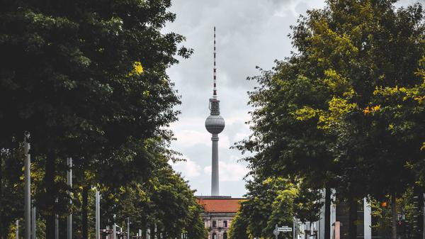 Berlin soll durch neue Stadtbäume in den kommenden Jahren noch grüner werden.