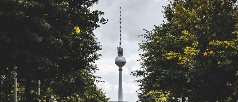 Berlin soll durch neue Stadtbäume in den kommenden Jahren noch grüner werden.