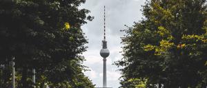 Berlin soll durch neue Stadtbäume in den kommenden Jahren noch grüner werden.