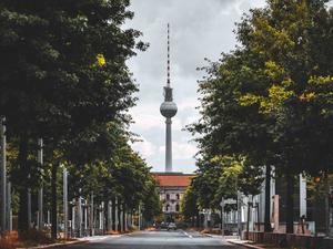 Berlin soll durch neue Stadtbäume in den kommenden Jahren noch grüner werden.