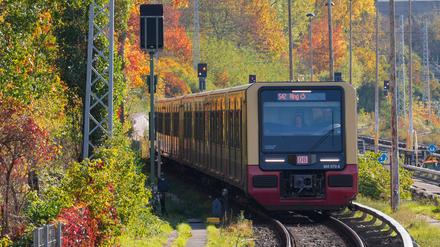 Die S42 ist am Dienstagmorgen von einer Störung betroffen. (Symbolbild)