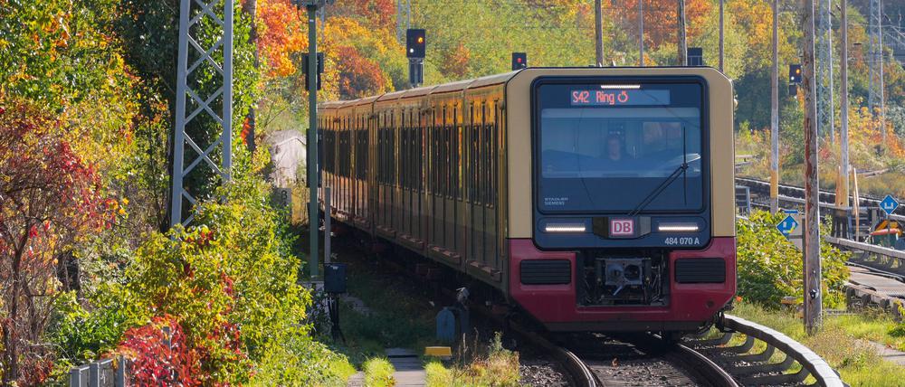 Die S42 ist am Dienstagmorgen von einer Störung betroffen. (Symbolbild)