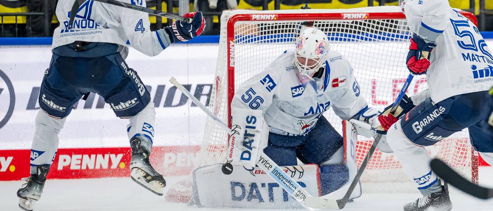 Maximilian Franzreb hat im Tor der Adler Mannheim in dieser Saison schon oft überzeugt.