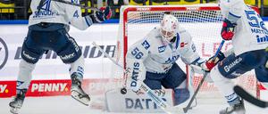 Maximilian Franzreb hat im Tor der Adler Mannheim in dieser Saison schon oft überzeugt.