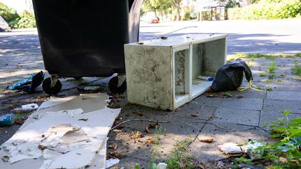 In Berlin finden es viele Menschen normal, Sperrmüll einfach auf der Straße zu entsorgen. (Archivbild)