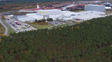 Die Getränkehersteller Red Bull und Rauch wollen im brandenburgischen Baruth/Mark die Produktion ausweiten. Für ein neues Dosen-Werk für Red Bull-Getränke sollen 17 Hektar Wald gerodet werden.