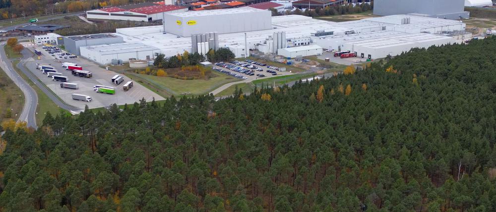 Die Getränkehersteller Red Bull und Rauch wollen im brandenburgischen Baruth/Mark die Produktion ausweiten. Für ein neues Dosen-Werk für Red Bull-Getränke sollen 17 Hektar Wald gerodet werden.