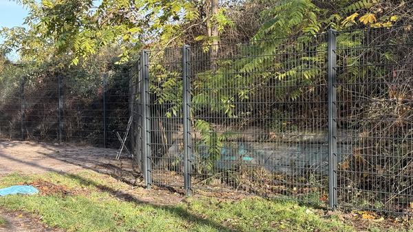 Der erste Zaun um den Görli steht