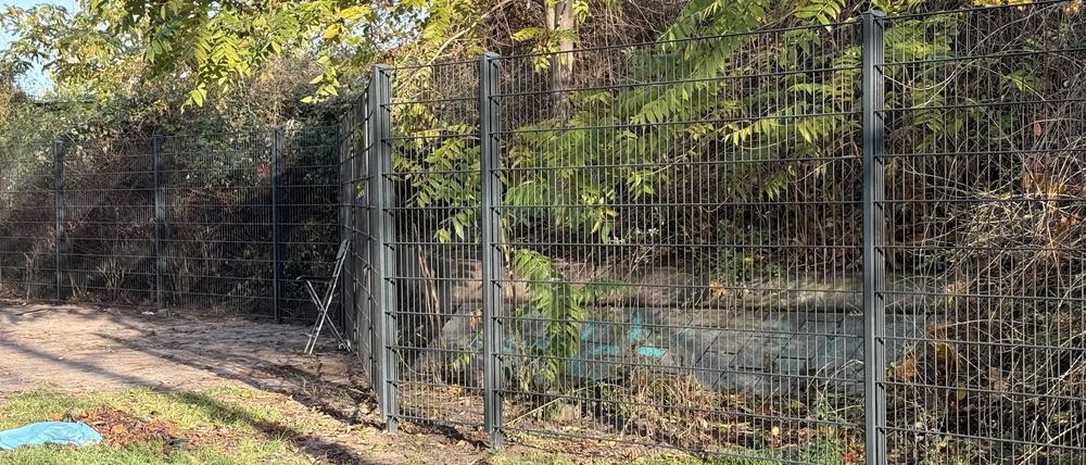 Der erste Zaun um den Görli steht