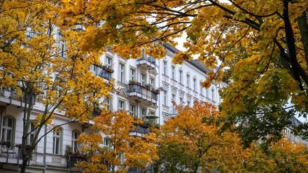 Welche Mietpreise verbergen sich hinter diesem herbstlichen Laub?