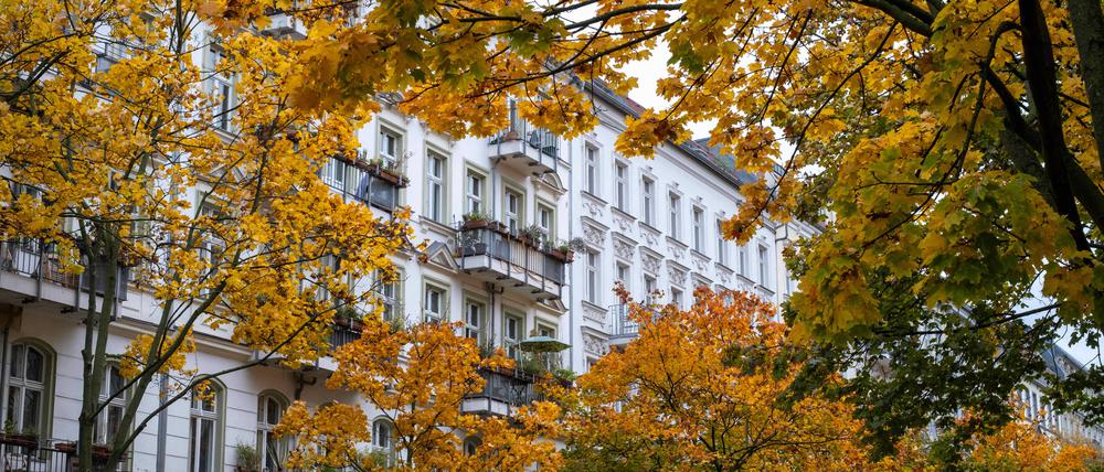 Welche Mietpreise verbergen sich hinter diesem herbstlichen Laub?
