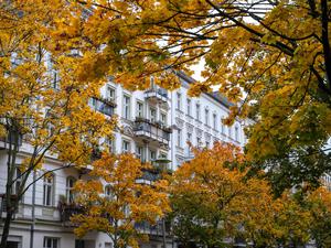 Welche Mietpreise verbergen sich hinter diesem herbstlichen Laub?