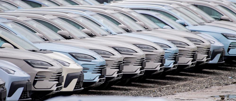 Der chinesische E-Auto-Hersteller BYD konnte seinen Absatz in Deutschland im Oktober erneut steigern. (Archivbild)